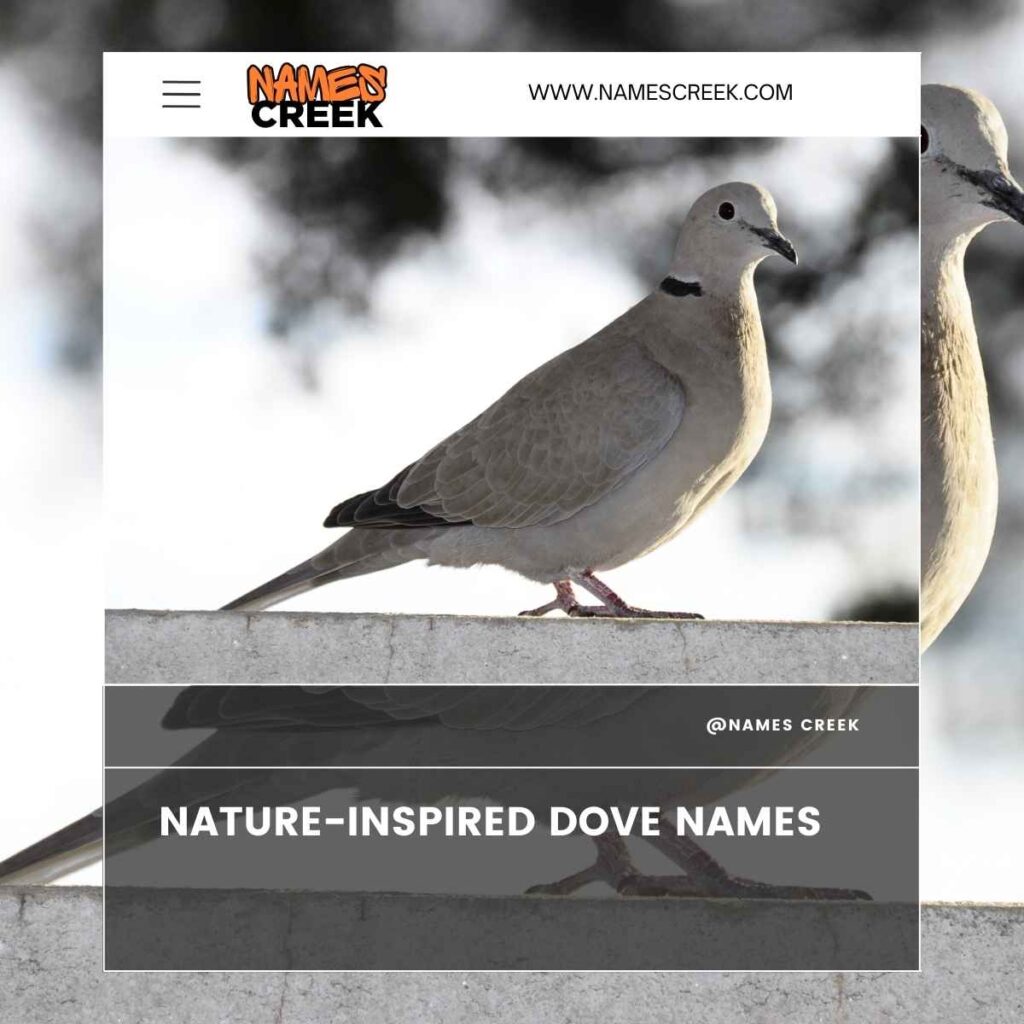 Nature-Inspired Dove Names