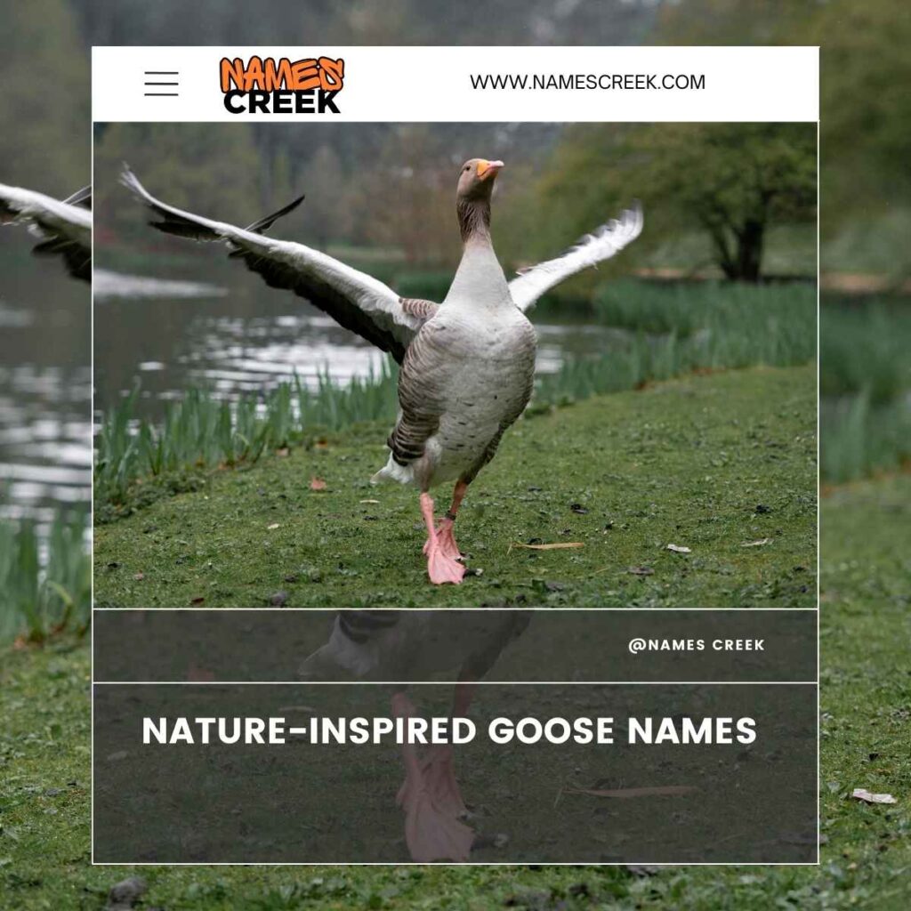 Nature-Inspired Goose Names