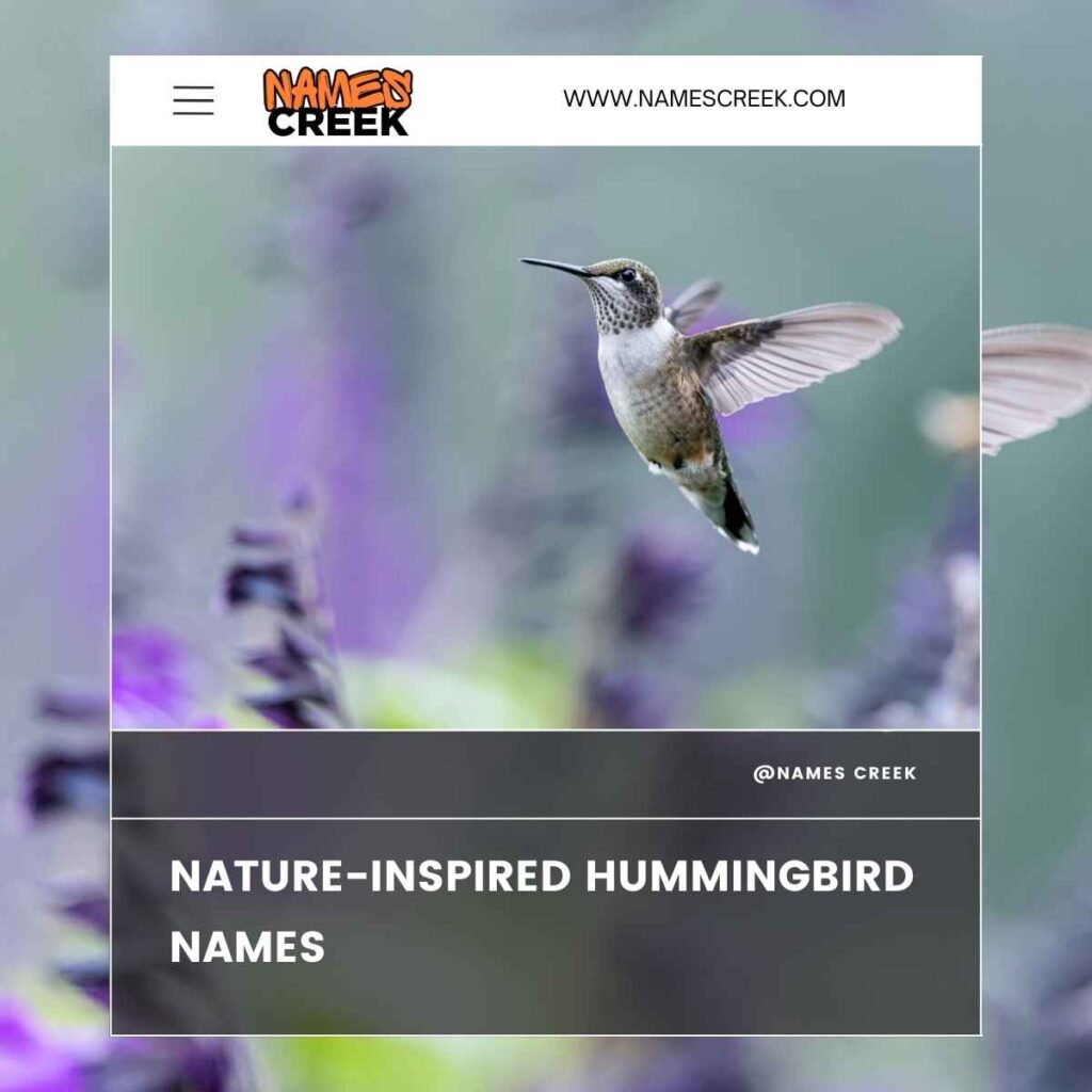 Nature-Inspired Hummingbird Names