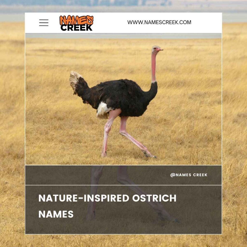 Nature-Inspired Ostrich Names