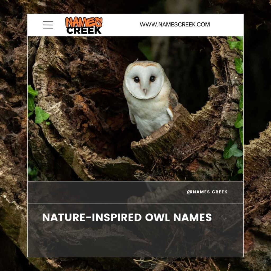 Nature-Inspired Owl Names