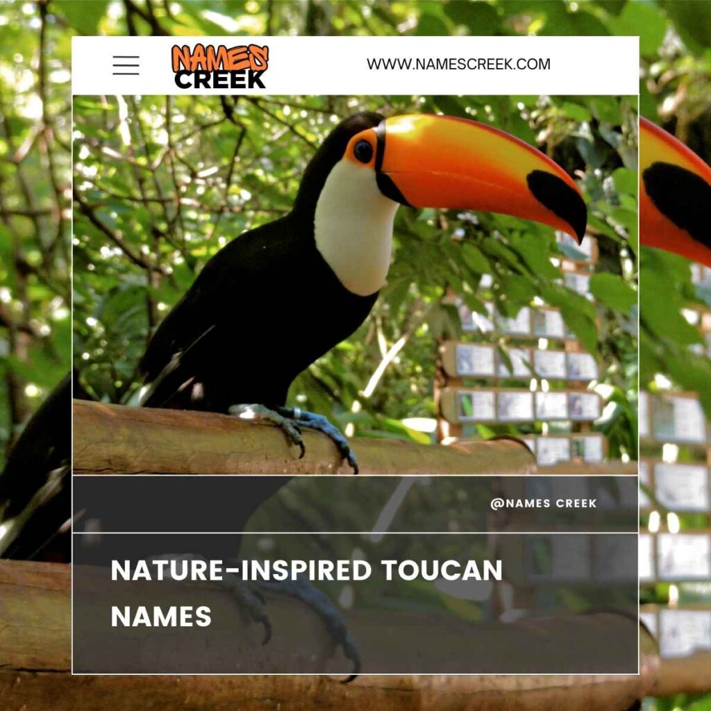 Nature-Inspired Toucan Names