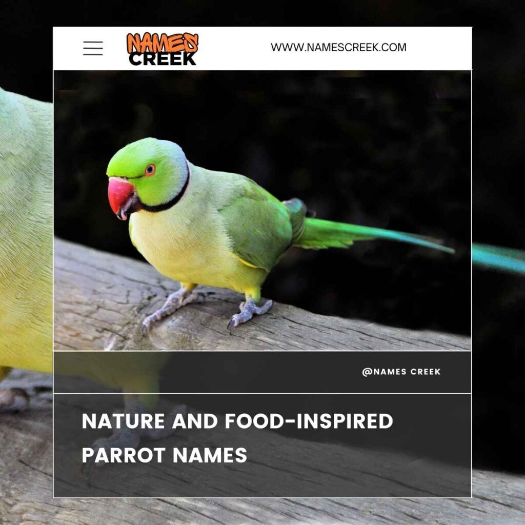 Nature and Food-Inspired Parrot Names