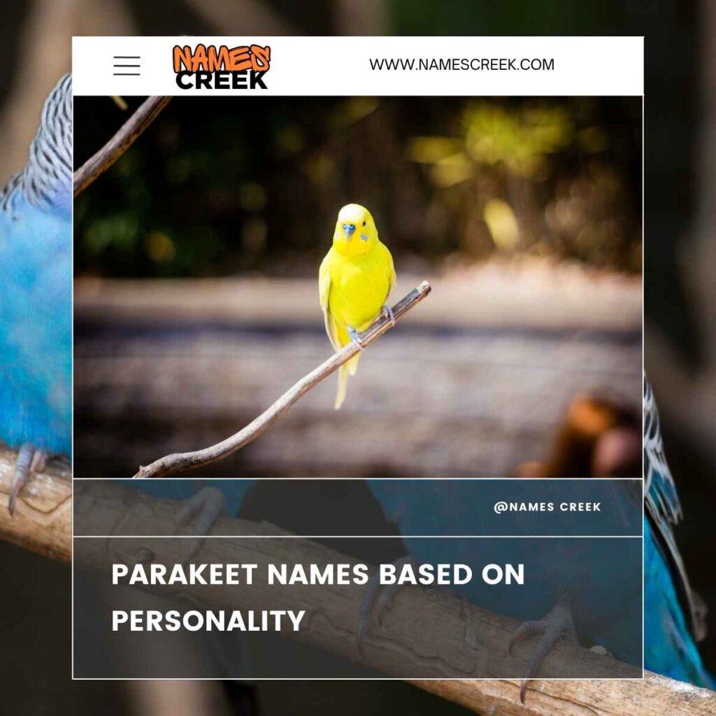 Parakeet Names Based on Personality