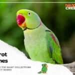 300 Delightful Parrot Names