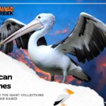 320 Pelican Names: A Unique List to Naming Your Feathered Friend