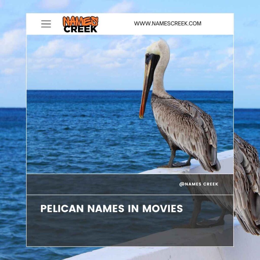 Pelican Names in Movies