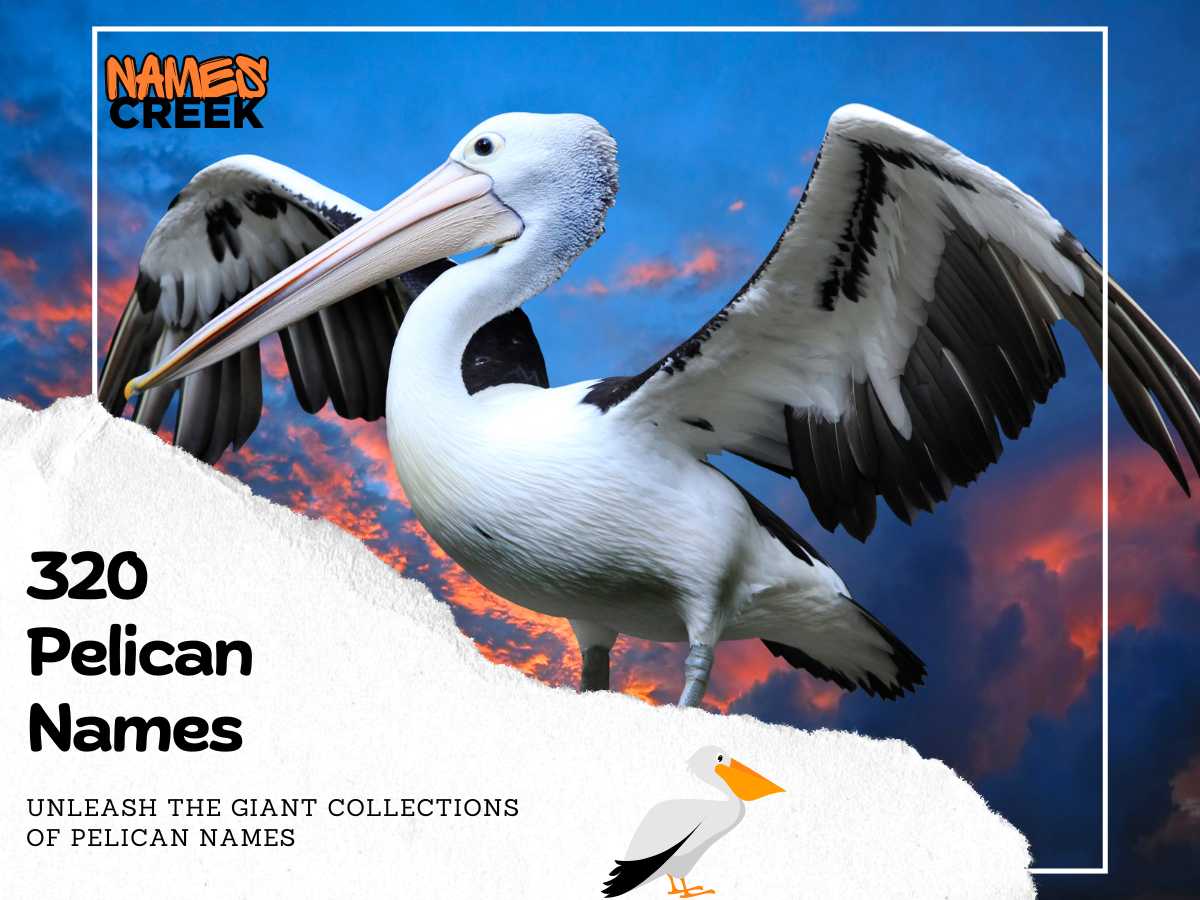 320 Pelican Names: A Unique List to Naming Your Feathered Friend