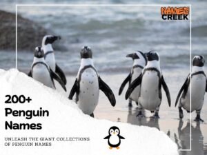 Waddle Into A World Of Penguin Names: 200+ Ideas