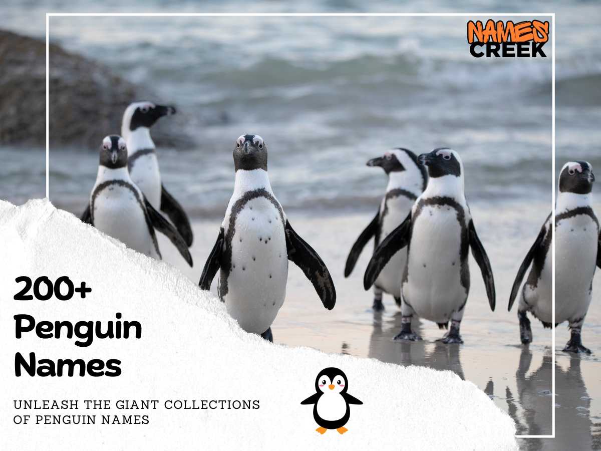 Penguin Names