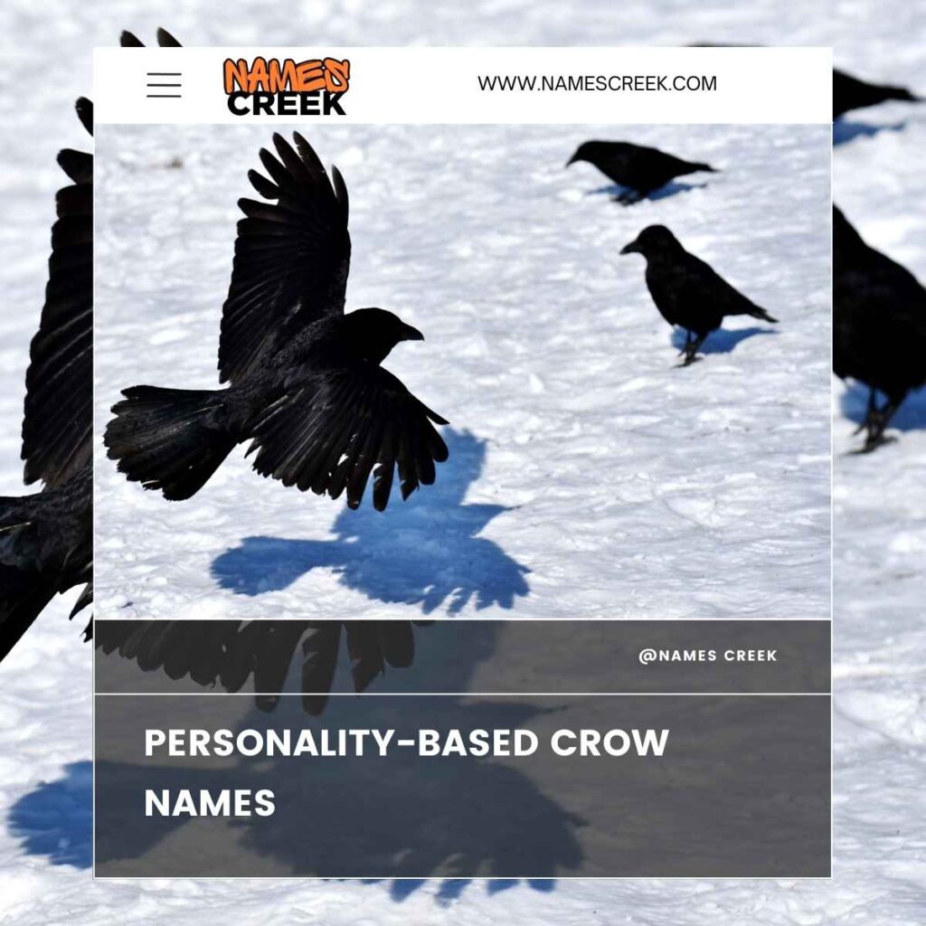 157 Brilliant Crow Names To Inspire You