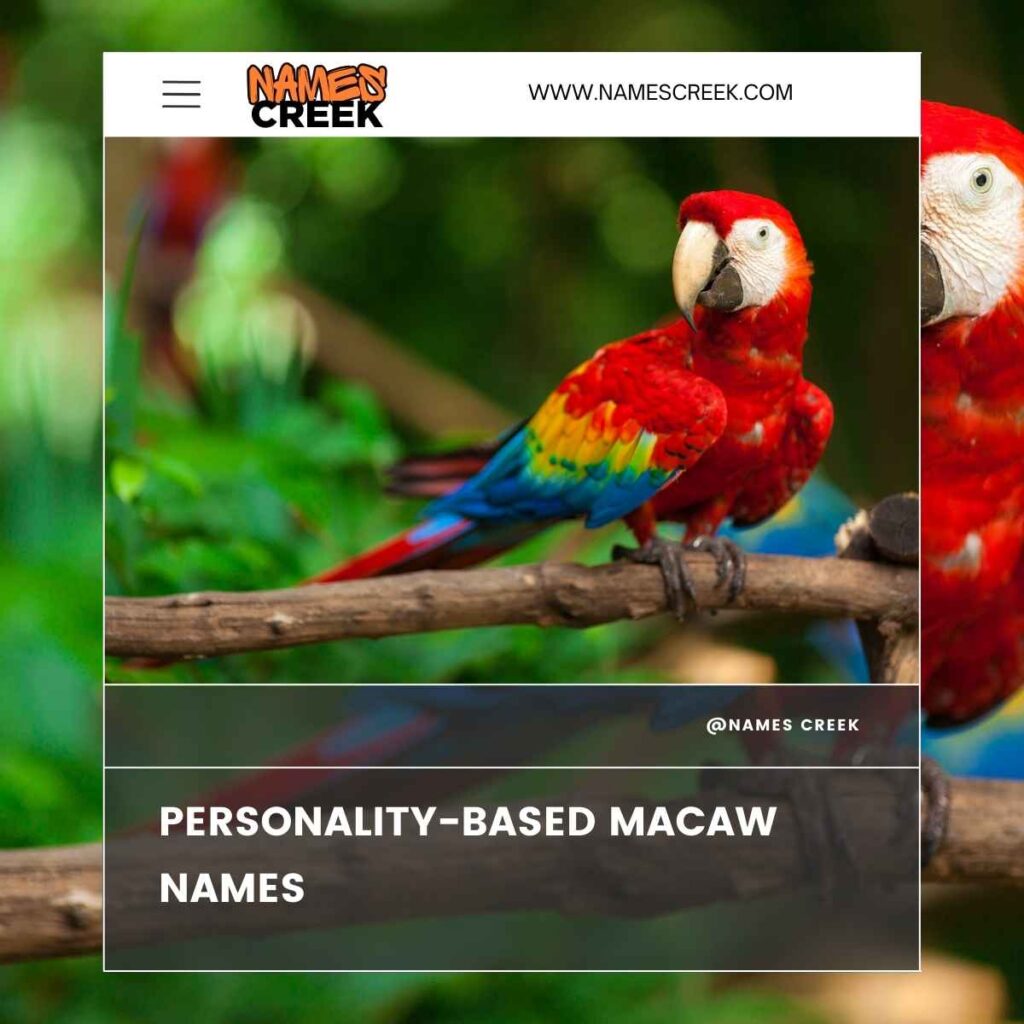 Personality-Based Macaw Names