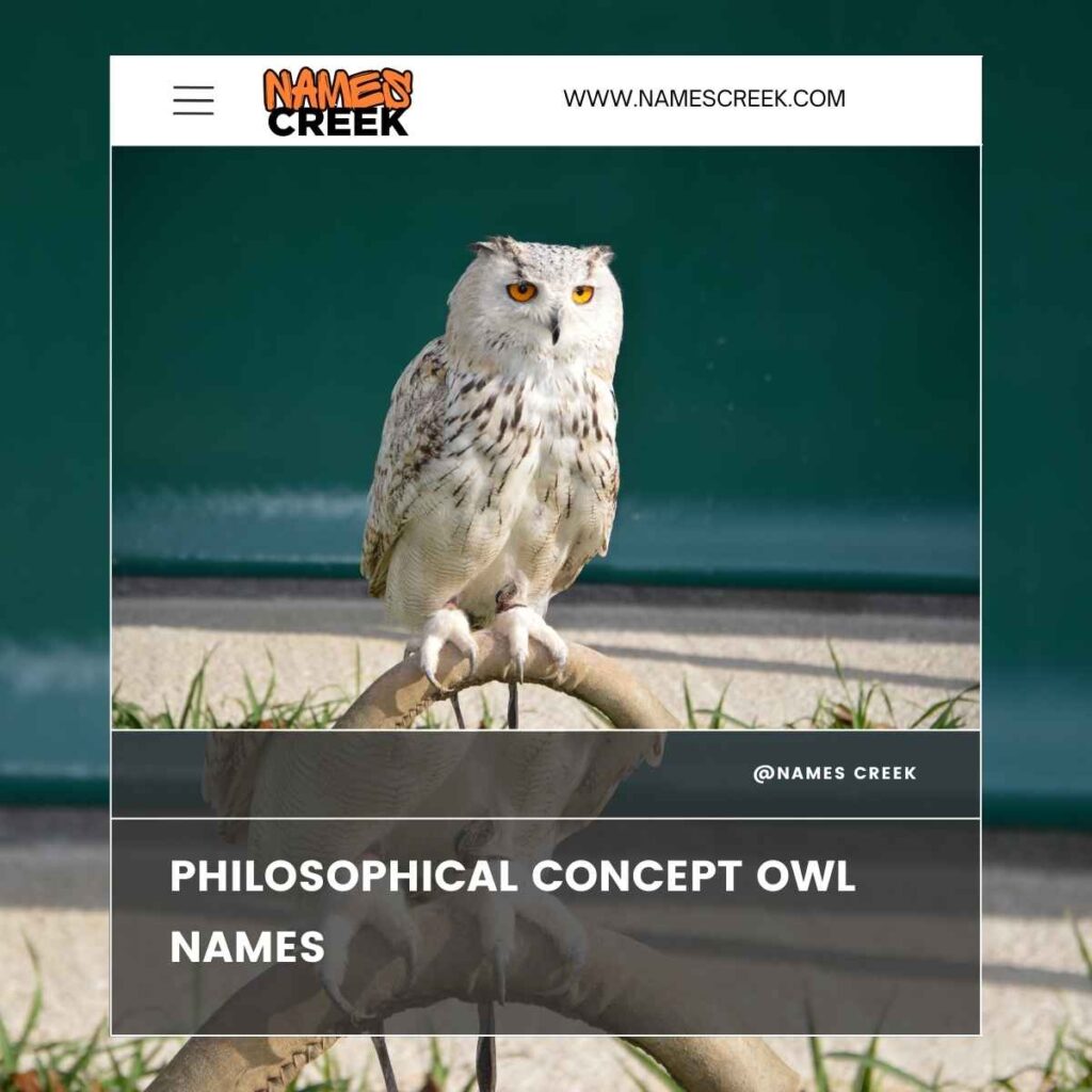 Philosophical Concept Owl Names