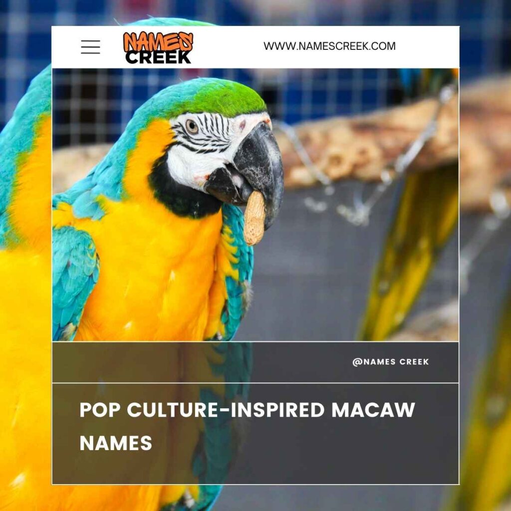 Pop Culture-Inspired Macaw Names