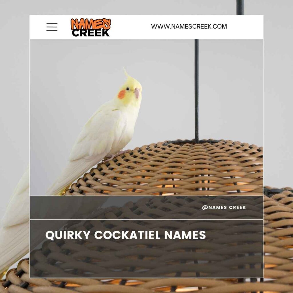 Quirky Cockatiel Names