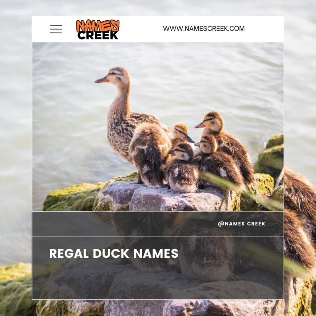 Regal Duck Names