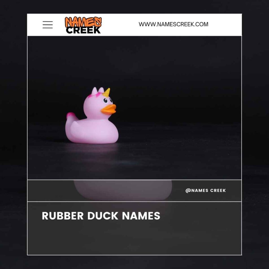 Rubber Duck Names