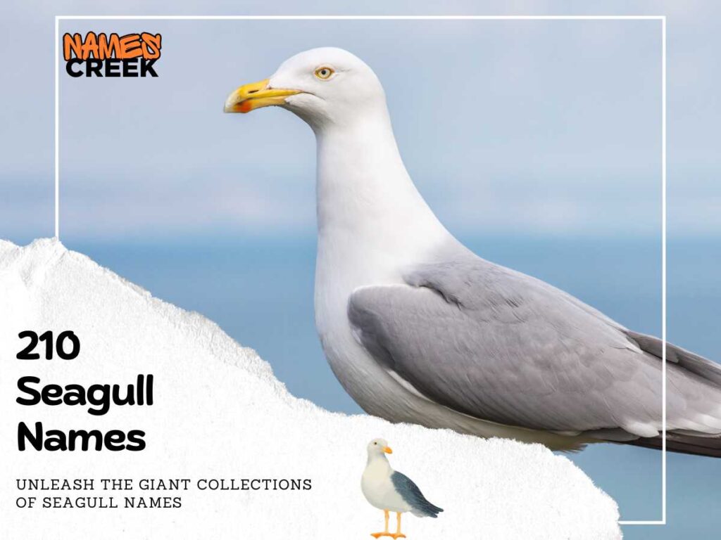 Discovering 360 Seagull Names: A Comprehensive Guide