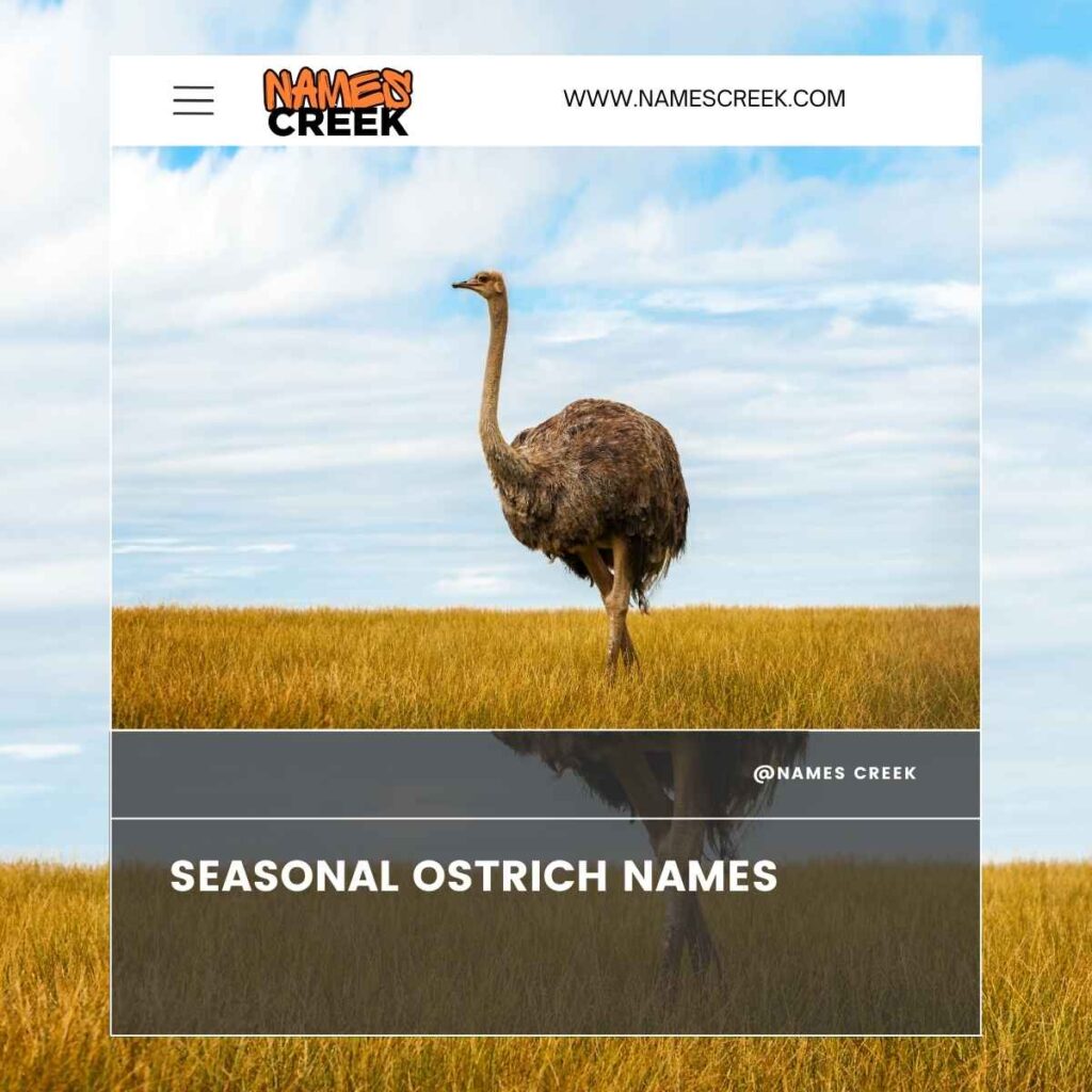 Seasonal Ostrich Names