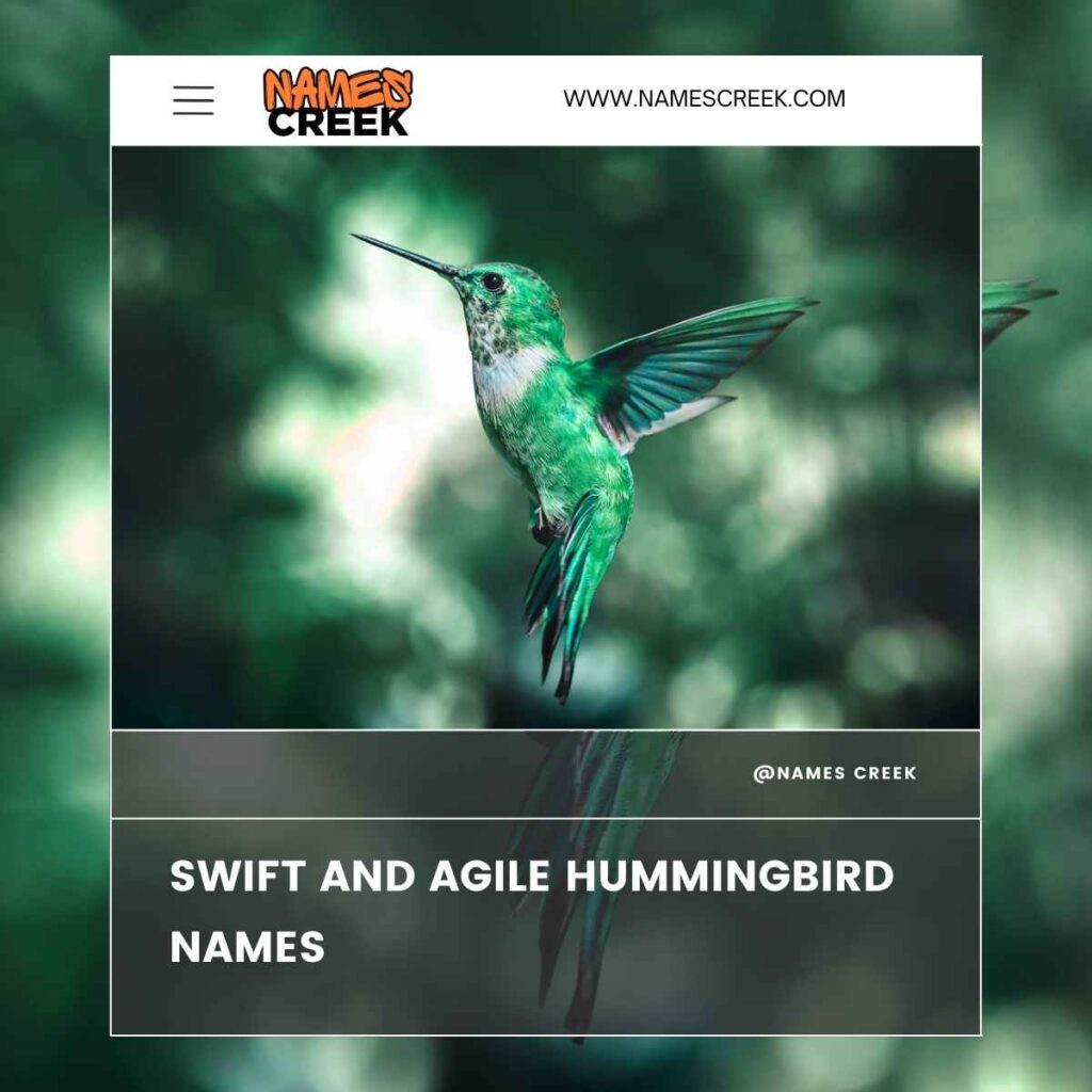 Swift and Agile Hummingbird Names