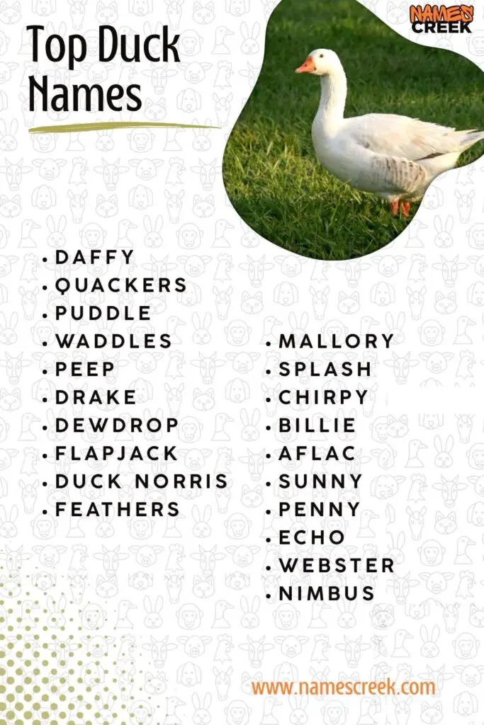 Top Duck Names