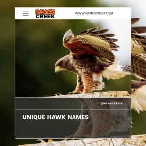 277 Captivating Hawk Names: From Mythical To Modern