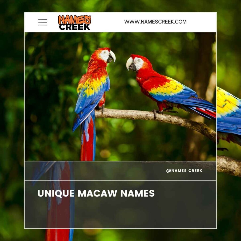 Unique Macaw Names