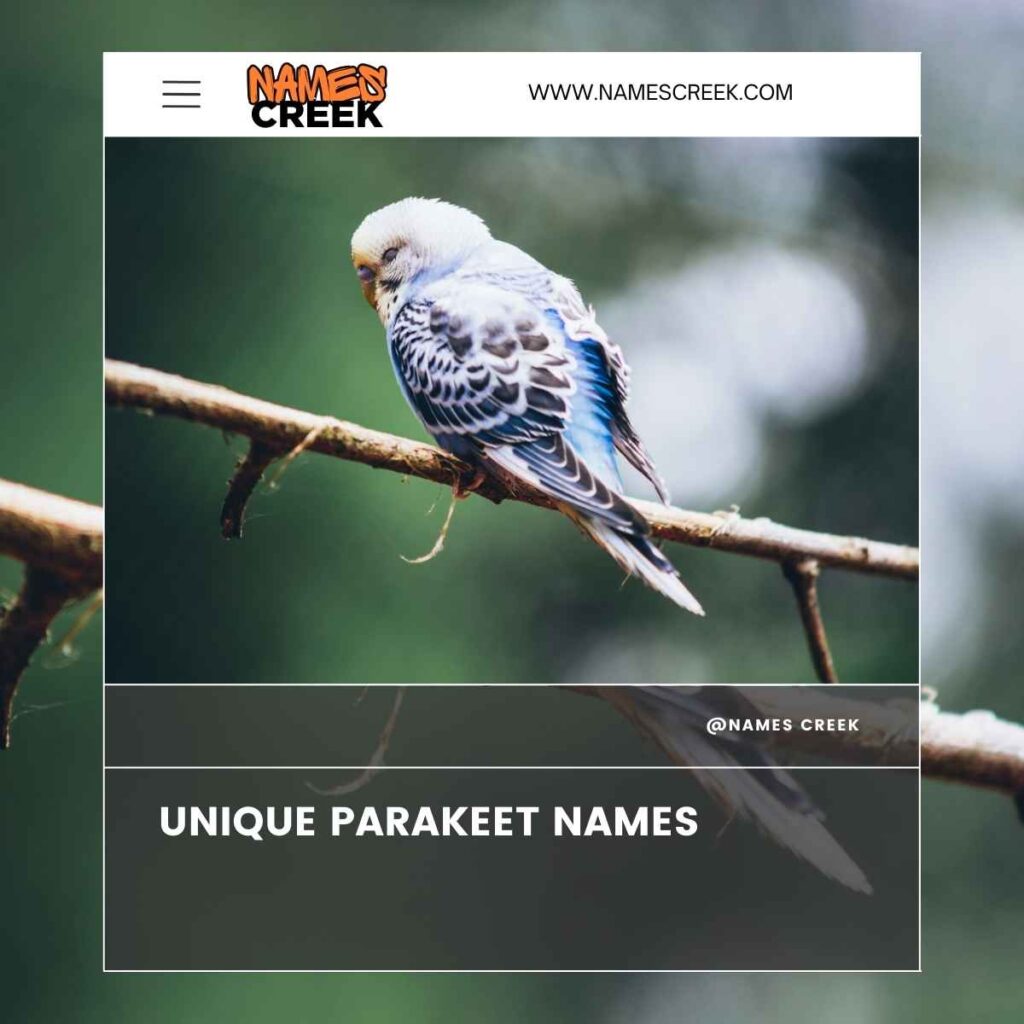 Unique Parakeet Names