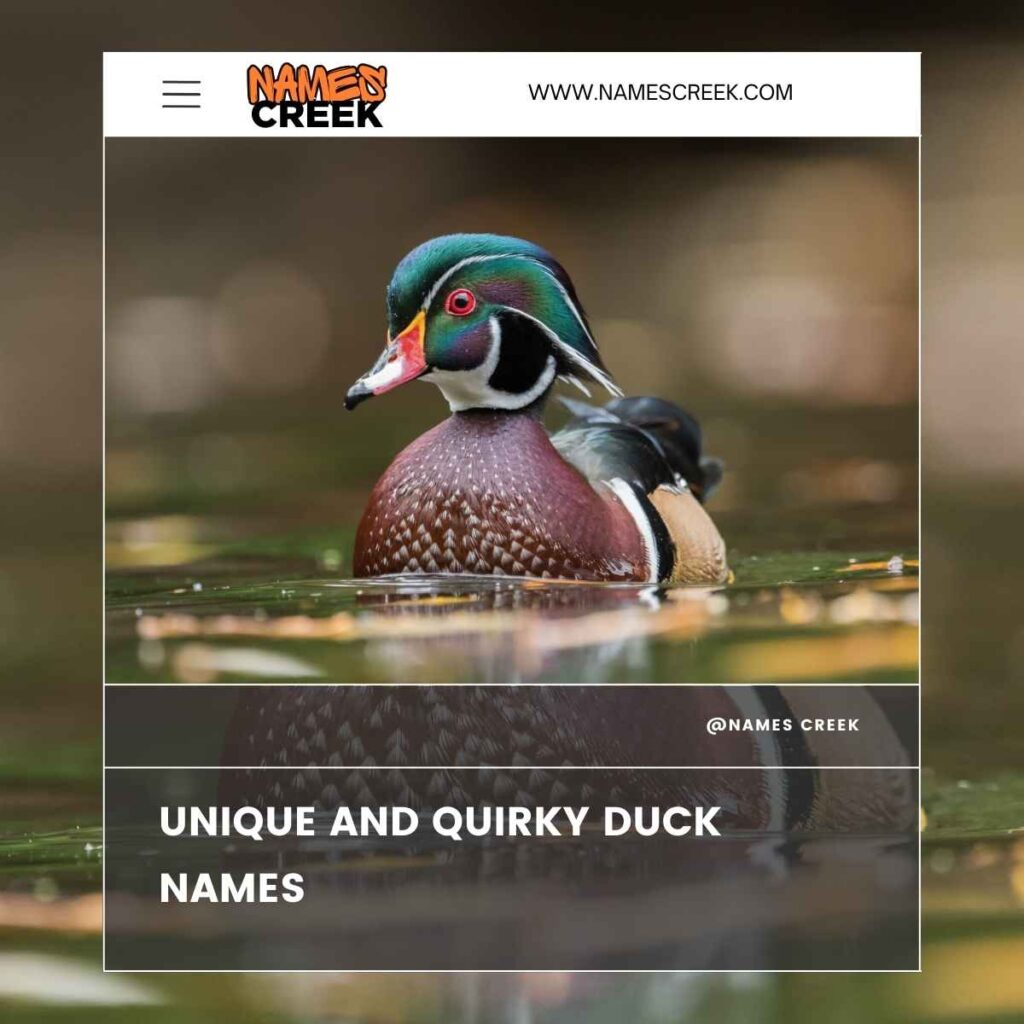 Unique and Quirky Duck Names