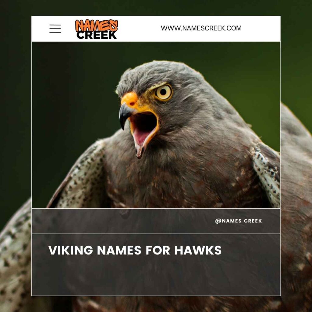 Viking Names for Hawks