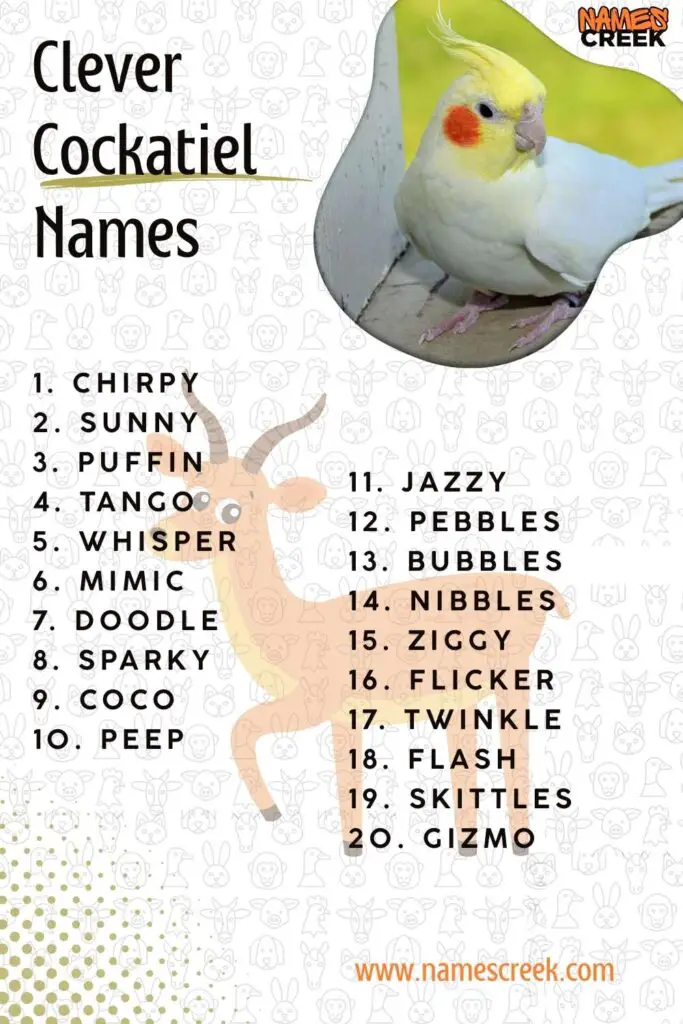 Clever Cockatiel Names