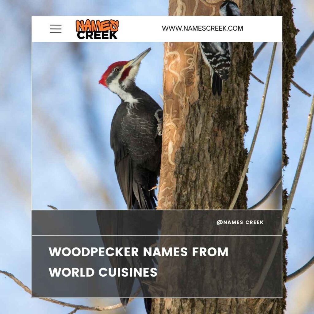 Woodpecker Names from World Cuisines