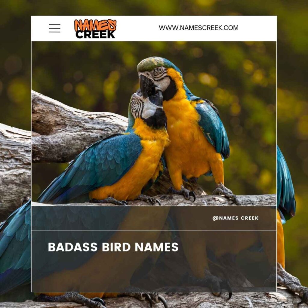 Badass Bird Names