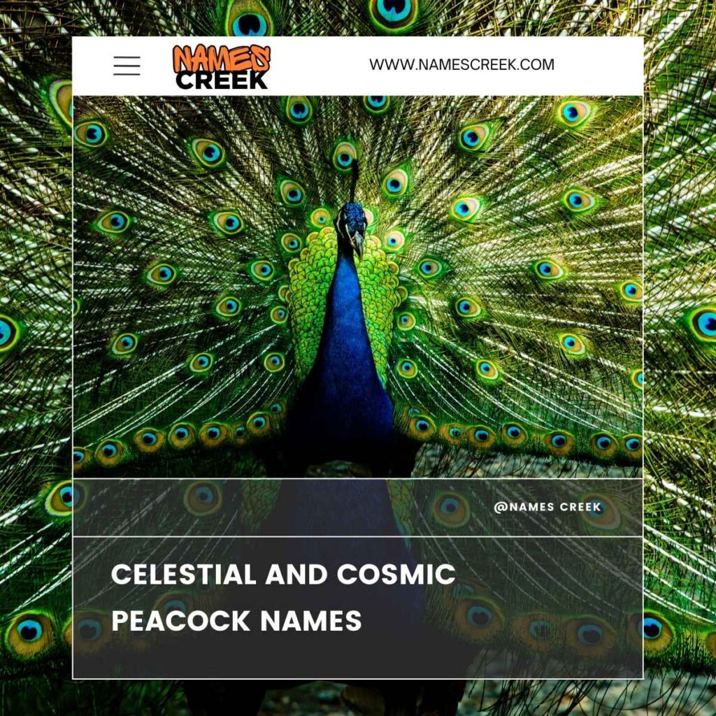 Celestial and Cosmic Peacock Names