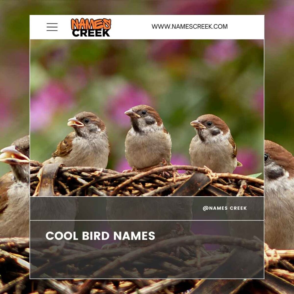 Cool Bird Names