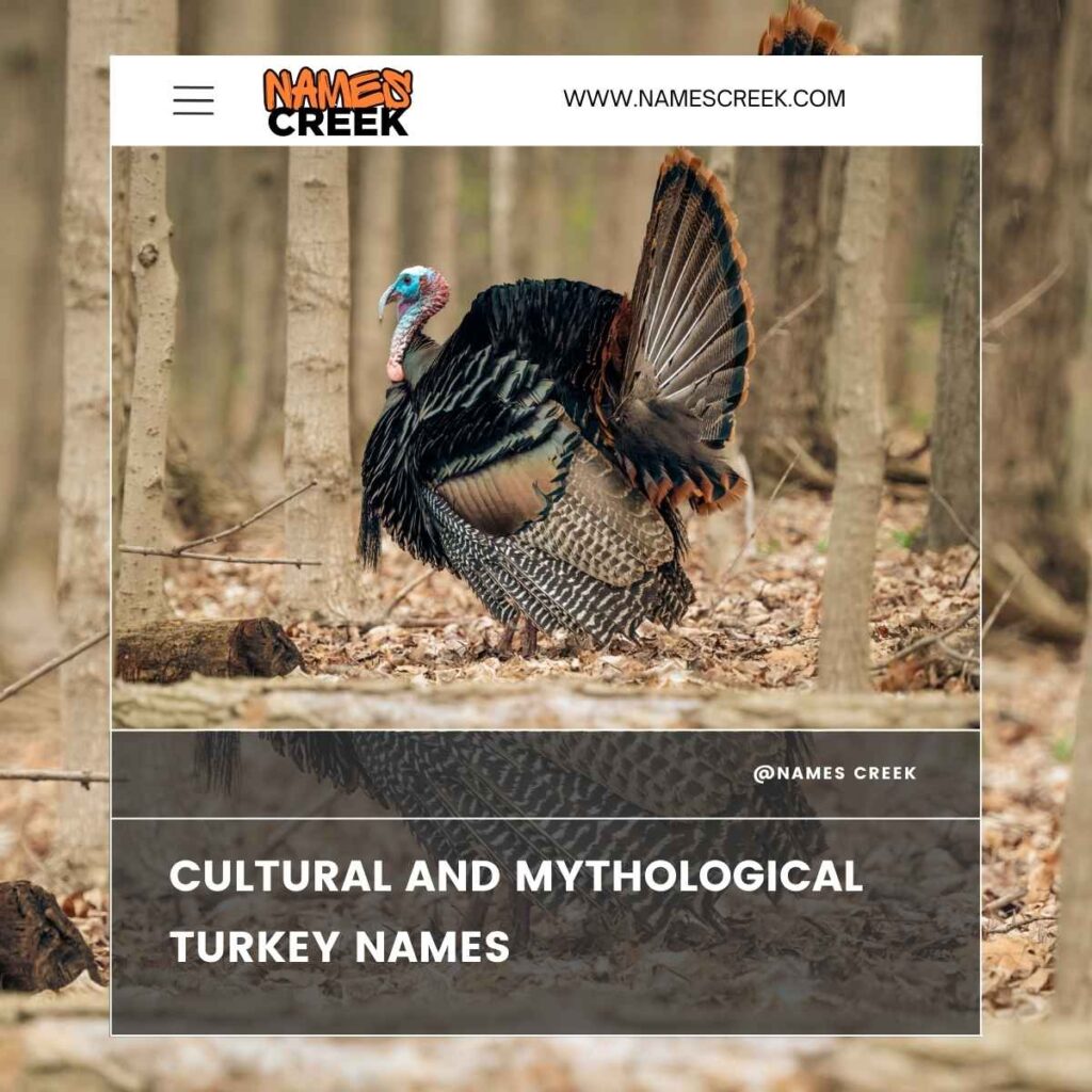 Cultural and Mythological Turkey Names