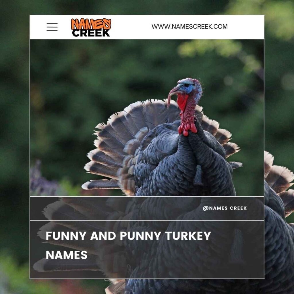 Funny and Punny Turkey Names