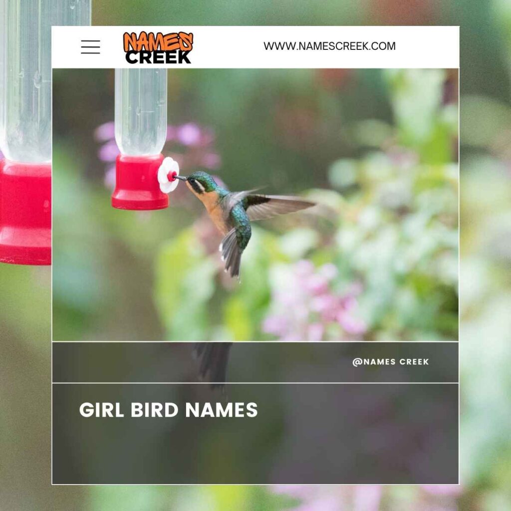 Girl Bird Names