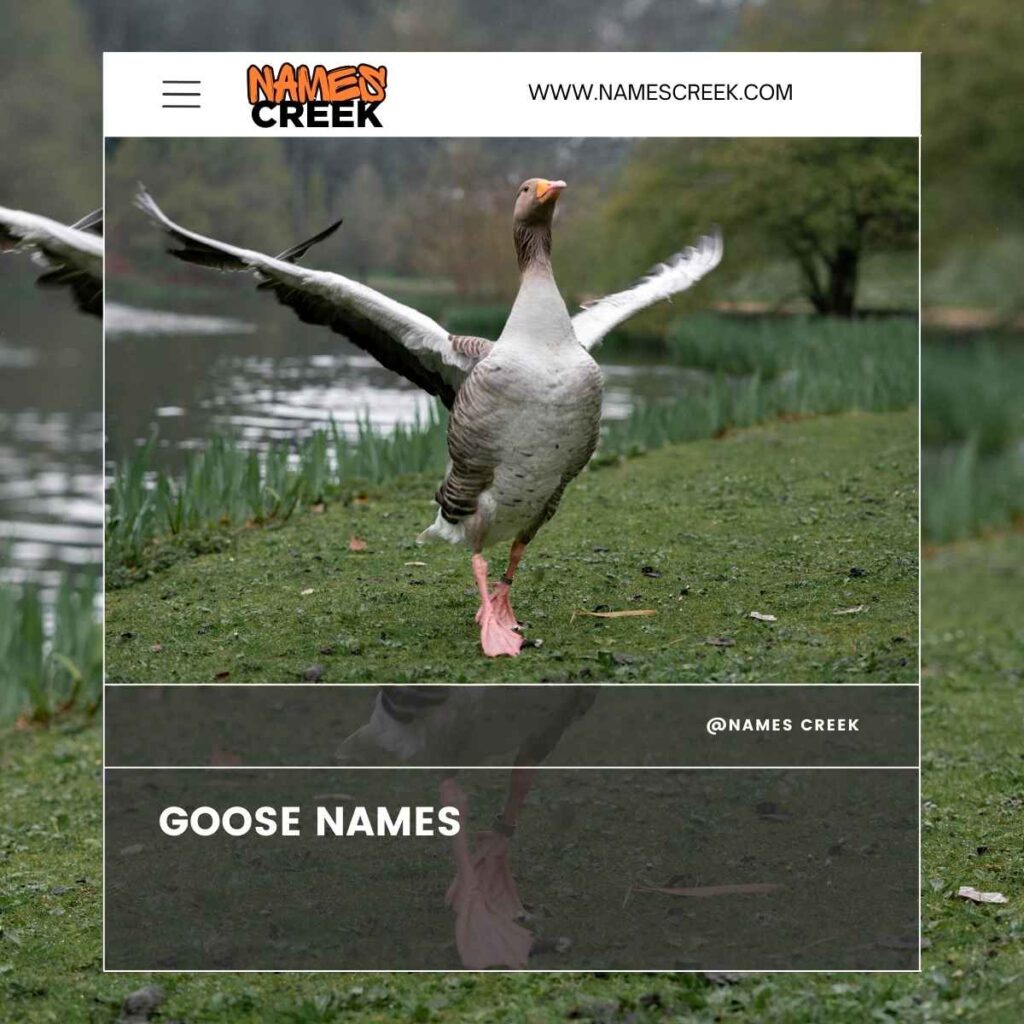 Goose Names