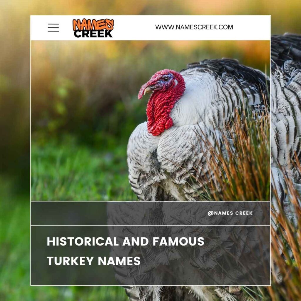 Historical and Famous Turkey Names