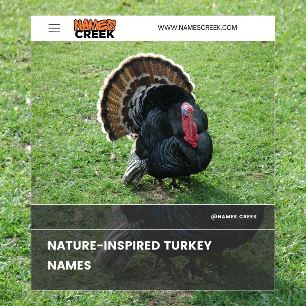 Nature-Inspired Turkey Names