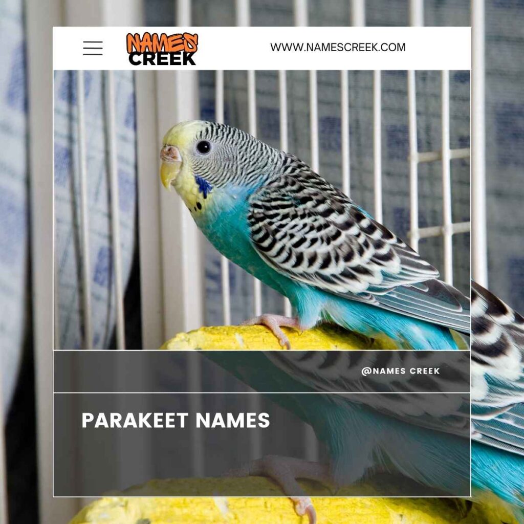 Parakeet Names