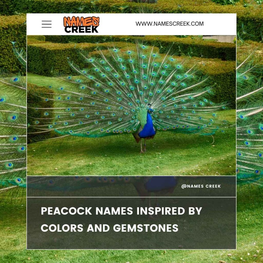 Peacock Names Inspired by Colors and Gemstones