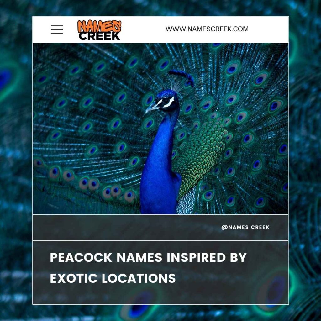 Peacock Names Inspired by Exotic Locations