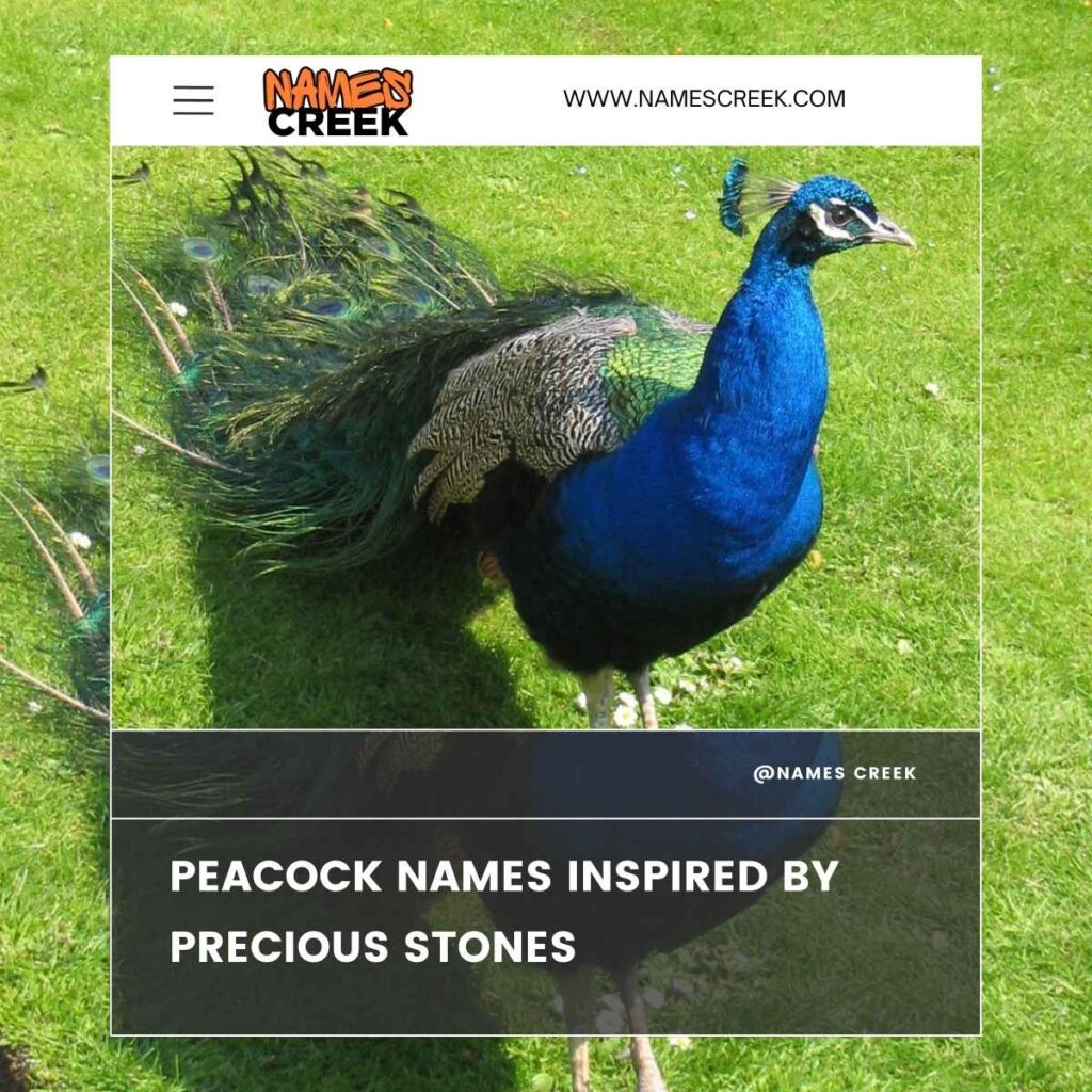 Peacock Names Inspired by Precious Stones