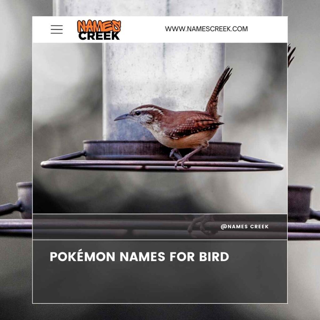 Pokémon Names For Bird