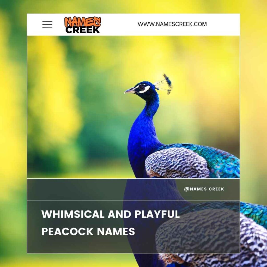 Whimsical and Playful Peacock Names