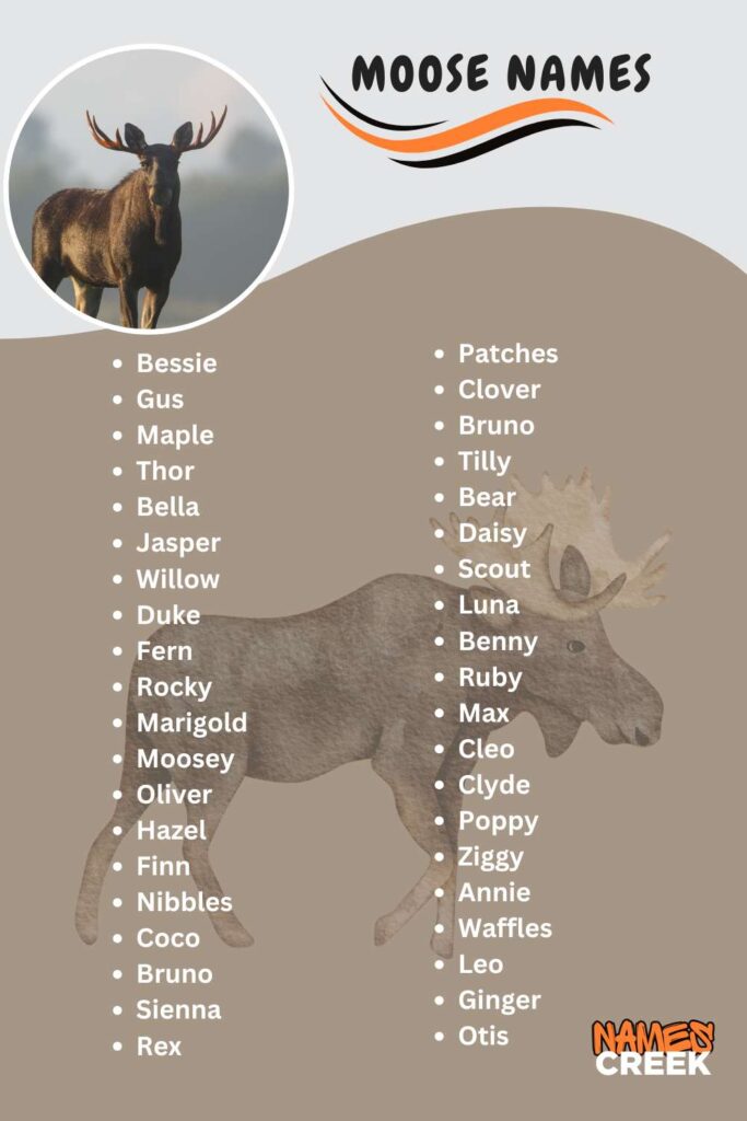 Moose Names