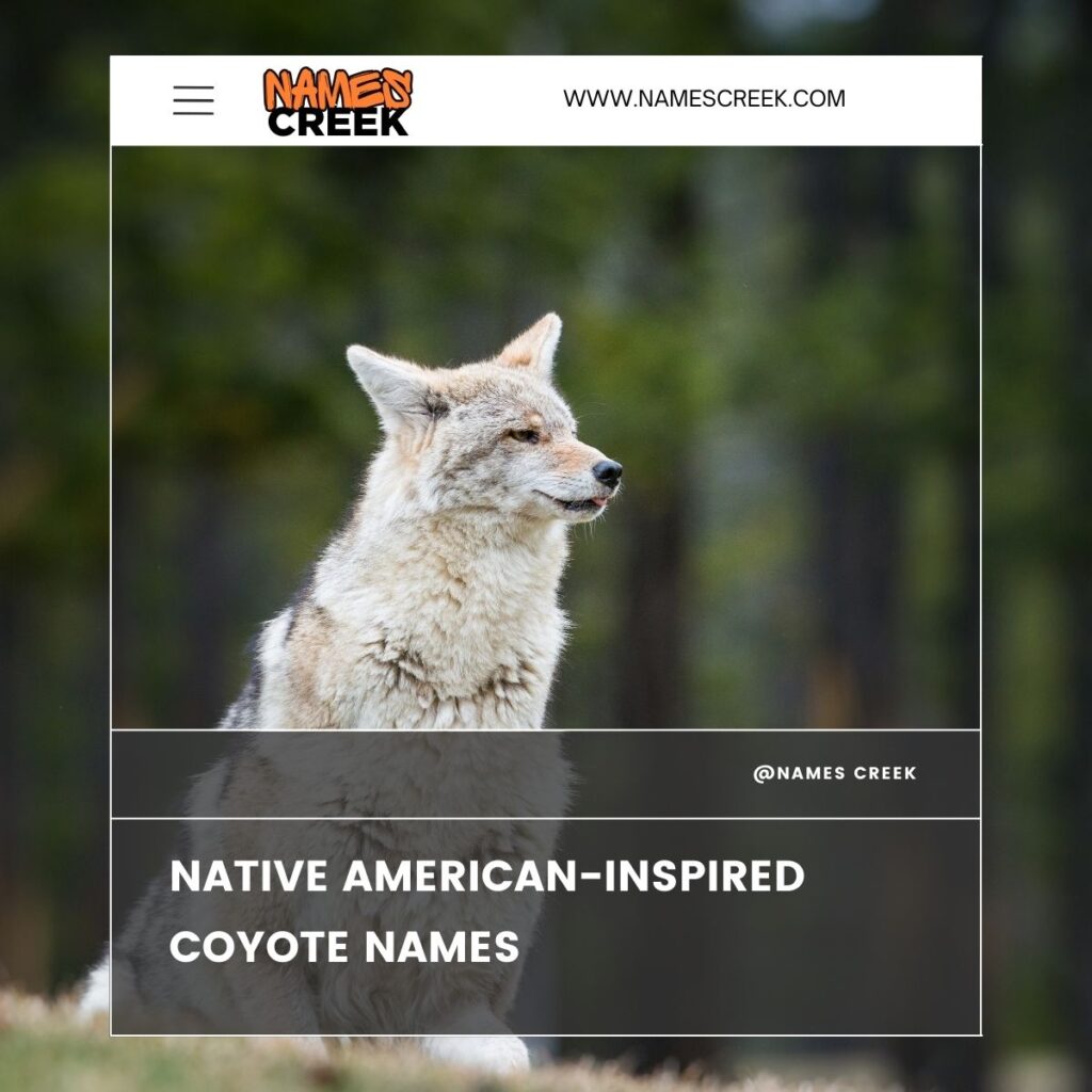 Native American-Inspired Coyote Names