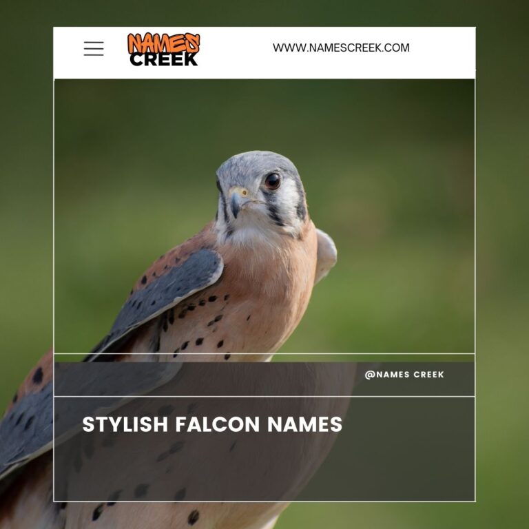 380 Falcon Names: A Proper List For Your Majestic Falcon